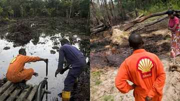 OPINION: How Shell’s lies have made life unbearable to the people of Ogoniland