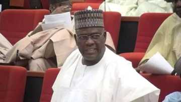 Rigima ta barke tsakanin Sanata Goje da tsohon surukin sa