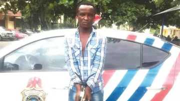 I have stolen 1200 phones in three years - Suspect (photo)