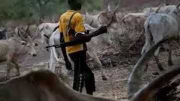 Declare herdsmen killings as terrorist act - SERAP writes UN