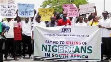 Xenophobic attacks against Nigerians are increasing at an alarming rate - FG cries out, calls for review of ‘Early Warning Signal’