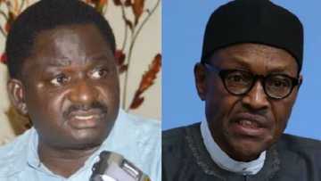Some people want lies about Buhari, but they won’t get them - Femi Adesina