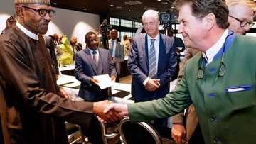 Buhari’s visit to Netherlands yields fruits as Dutch companies plan massive investments in Nigeria