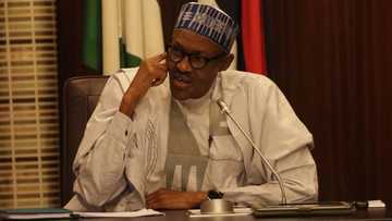 Breaking: Buhari speaks on Benue killings, says security agencies are working to arrest culprits