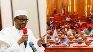 National Assembly cannot summon the president to answer questions - Senior lawyers