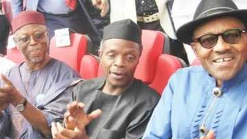 Oyegun reveals real truth about the change agenda of APC, Buhari
