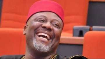 New report surfaces concerning Dino Melaye’s alleged kidnap