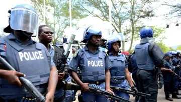 Your failure to prosecute killers is aiding them to do more evil to us - Nigerians in South Africa tells government