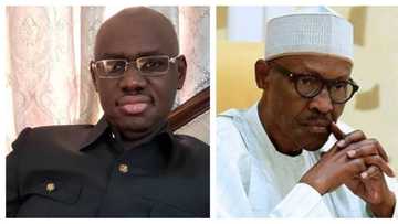 APC disowns chieftain Timi Frank who criticized President Buhari and praised Jonathan in letter