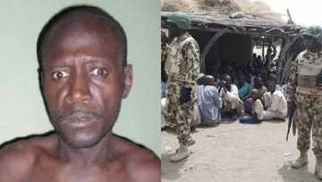 Top Boko Haram informant arrested as Troops intensify operations against fleeing terrorists