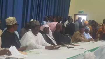 PDP, R-APC sun hada gwiwa da jam'iyyu 34 domin zaben dan takara guda