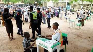 Zaben jihar Katsina: Mutane sun fito kwansu da kwarkwatansu domin zabe tsakanin yaya da kaninsa