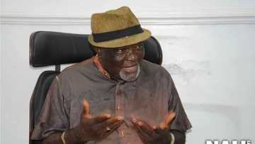 Exclusive: There was a cult in the PDP before 2015 - Iwuanyanwu