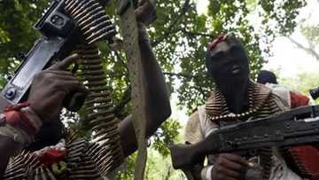 Yan bindiga sun gindaya ma gwamnati sharadin ajiye makamai da zaman lafiya a Zamfara