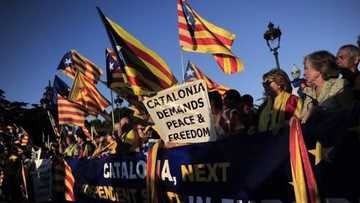 Extra police sent to stop referendum in Catalonia, Spain