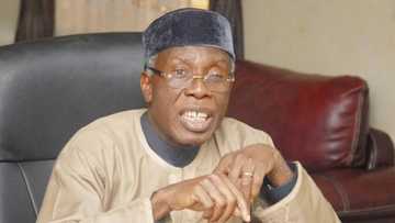 Abun kai: Cittar da aka noma a Najeriya ta zama zuma a kasuwar duniya