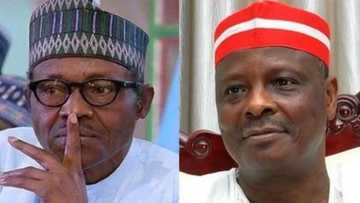 A hakikanin gaskiya ba bu mai son Buhari kamar ni - Kwankwaso