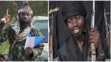 BREAKING: Factional leader of Boko Haram predicts Abubakar Shekau’s defeat (video)