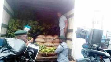 Kwastam sun kwace buhuhunan shinkafa 200 da aka boye karkashin sinkin ayaba