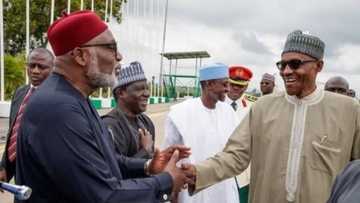 2019 elections: APC governor declares support for Buhari, says president has done a lot within 4 years