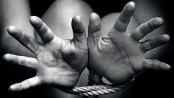 Yan bindiga sun yi garkuwa da karamin yaron shugaban jam’iyyar APC na jahar Borno