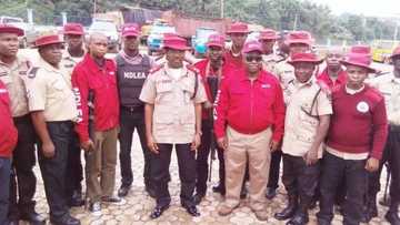 NDLEA nabs fake soldier in possession of live ammunition, military camouflage