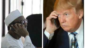 BREAKING: Trump invites Buhari to US; promises to supply military weapons to Nigeria