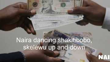 Check out the new exchange rates for naira against the dollar