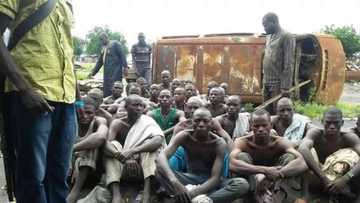 Boko Haram:  Starving terrorists caught on photo surrendering to troops (UPDATED)