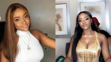 Davido's girlfriend Chioma replies to a troll who said she will have a painful marriage