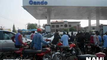 NNPC Special Task Force arrests fuel hawkers, marketers for petrol diversion