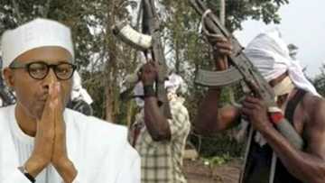 Buhari negotiation with Niger Delta militants may cause more trouble, this is why!