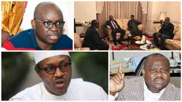 PDP to Fayose, Wike: Go and visit Buhari in London