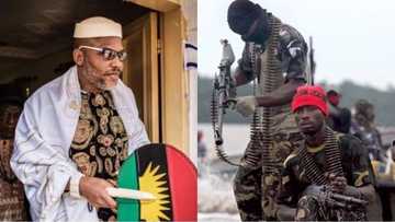 New militant group blows hot, threatens to join Biafra agitators to fight Nigeria with missiles