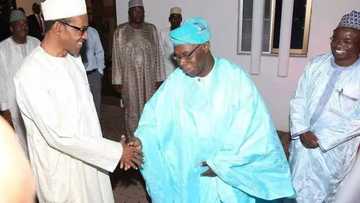 Buhari Is Shielding Obasanjo From Investigation - Ijaw Youths