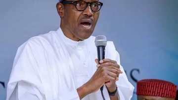 Dalilin da yasa na bayyana kudirina na sake takara kafin tafiya Ingila - Buhari
