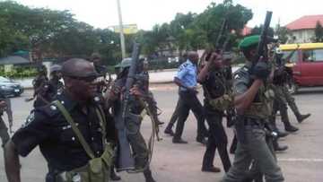 Zaben Sokoto: Yadda matasa suka kwace bindigar dan sanda a rumfar zabe