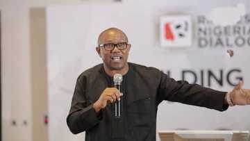 Yanzu-Yanzu: Peter Obi Ya Ɗau Zafi, Ya Maida Martani Ga Amurka Kan Kiran Bola Tinubu Ta Waya