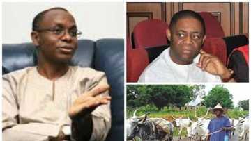 The killer midget and the stunted dwarf (part 2) by Femi Fani-Kayode