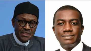 Buhari appoints Tony Okpanachi as development bank MD, names board
