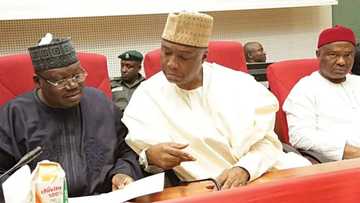 Za mu tsige Saraki idan majalisar dokoki ta dawo – Shugaban masu rinjaye a majalisa ya sha alwashi