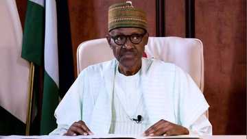 Over 400 federal civil servants plead with Buhari, National Assembly over denied promotion