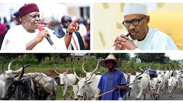 An kashe daruruwan mutane jiya a Taraba