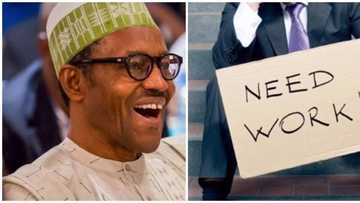 FG releases requirements for employment for 2017 N-power applicants (See List)