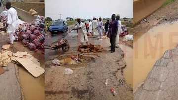 Titin ajali: An tafka asarar ɗimbin dukiya da rayuka akan Titin Zariya zuwa Kano (Hoto)