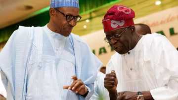 2019 presidency: Tinubu reveals what he discussed with Afenifere leader about Buhari