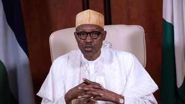 Ababe 2 da suka taka Rawar gani wajen nasara ta a Zaben 2015 - Shugaba Buhari