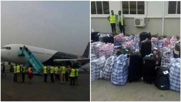 Breaking: US deports 34 Nigerians over fraud allegations, impersonation, other offences