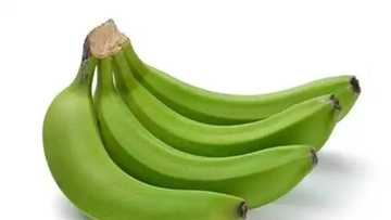 Unripe plantain for weight loss: How to use?