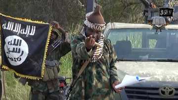 HEARTBREAKING! Boko Haram Kills 350 Teachers, Destroys 512 Schools In Borno
